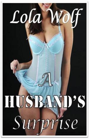 Cover of A Husband's Surprise