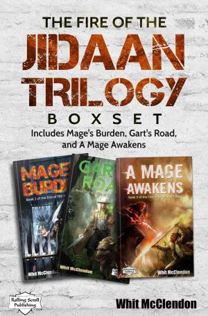 bigCover of the book The Fire of the Jidaan Trilogy Boxset: Including Mage's Burden, Gart's Road, and A Mage Awakens by 