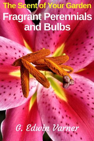 Book cover of The Scent of Your Garden: Fragrant Perennials and Bulbs