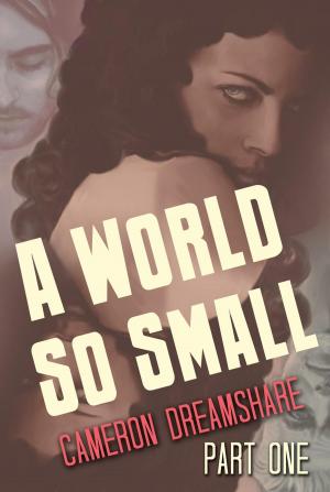 Cover of the book A World So Small: Part One by Kivutar Amy Koski