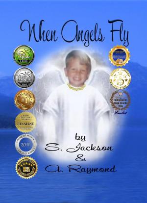 Book cover of When Angels Fly