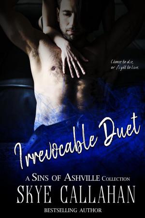 Cover of the book Irrevocable Duet by Leenna Naidoo