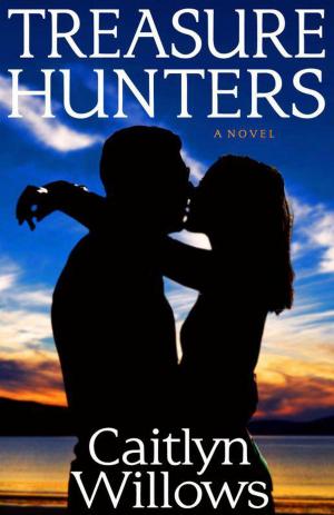 Cover of Treasure Hunters