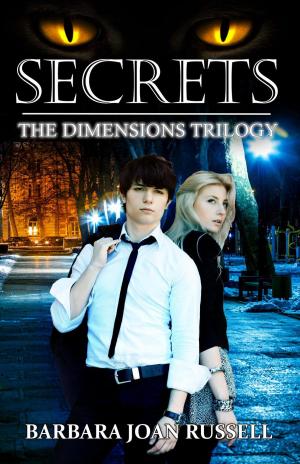 Cover of the book Secrets by S E Holmes