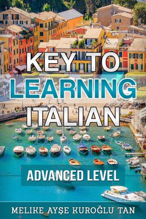 Cover of the book Key To Learning Italian Advanced Level by Marty Sturino