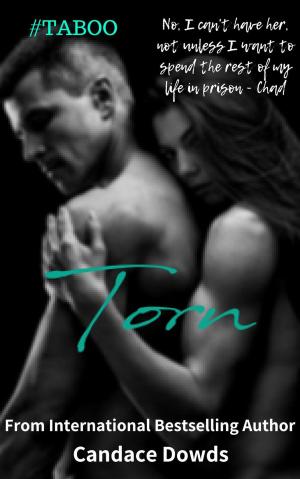 Cover of the book Torn by Candace Dowds