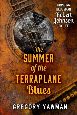 Cover of the book The Summer of the Terraplane Blues by George Hodge