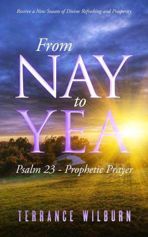 Cover of the book From Nay to Yea by Brendan Roberts