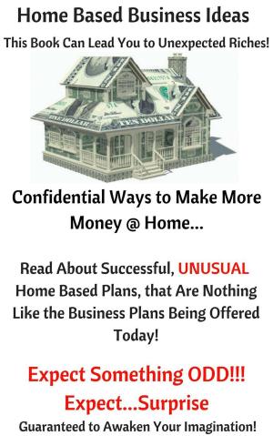 Book cover of Home Based Business Ideas