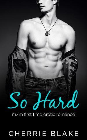 Cover of the book So Hard: M/M First Time Erotic Romance by Leigh Michaels