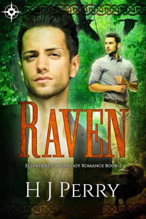 Cover of the book Raven by Lynn E. O'Connacht