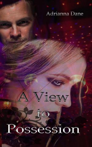 Cover of the book A View To Possession by Erin Lancaster