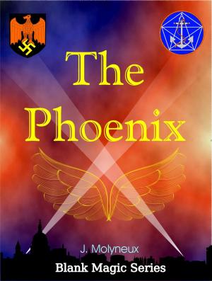 Cover of the book The Phoenix by L. M. Beyer