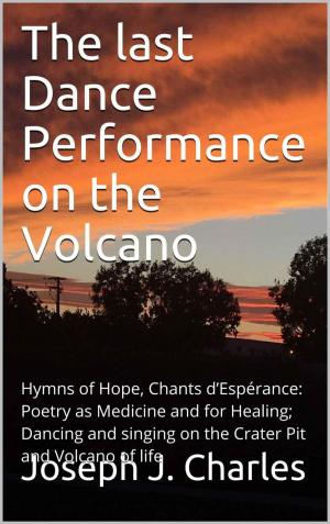 Book cover of The last Dance Performance on the Volcano