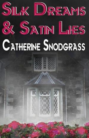 Book cover of Silk Dreams and Satin Lies