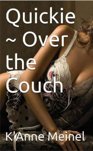 Cover of the book Quickie ~ Over the Couch by K'Anne Meinel