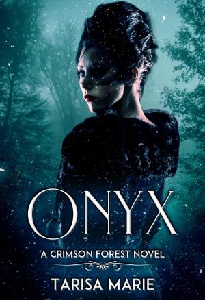 Cover of the book Onyx by Brooklyn Ann