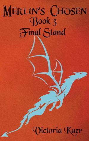 Book cover of Merlin's Chosen Book 3 Final Stand