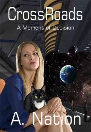 Cover of the book CrossRoads - A Moment of Decision by N. Alleman, J. Chase