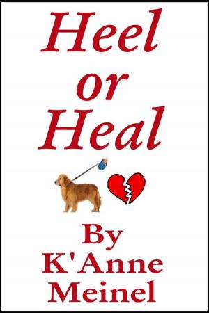 Cover of the book Heel or Heal by Maria Siopis