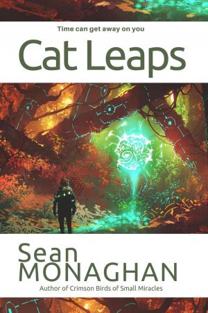 Book cover of Cat Leaps