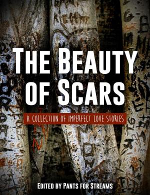 Cover of the book The Beauty of Scars by Dr. J.P.G. Viljoen