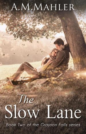 Cover of the book The Slow Lane by Siobhan MacKenzie