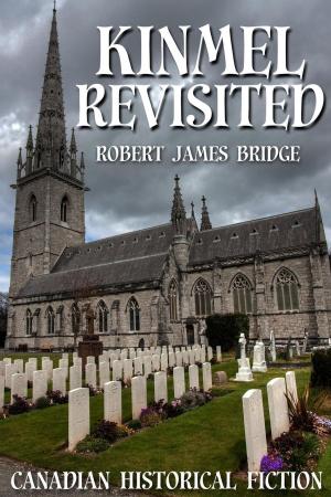 Book cover of Kinmel Revisited