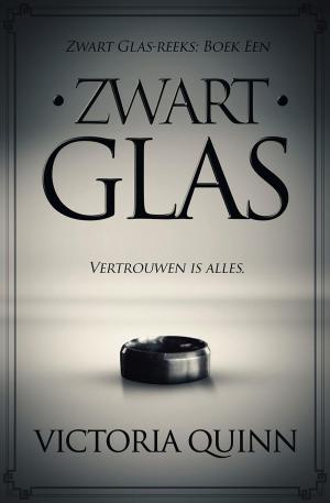 Book cover of Zwart Glas
