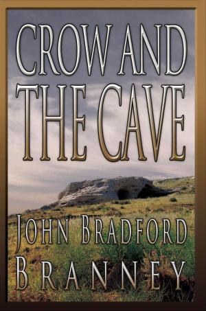Cover of the book Crow and the Cave by Judi Wallower