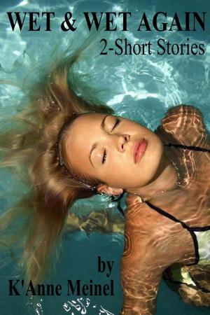 Cover of the book Wet & Wet Again by Catherine A. MacKenzie