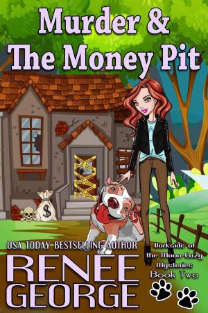 Book cover of Murder and The Money Pit
