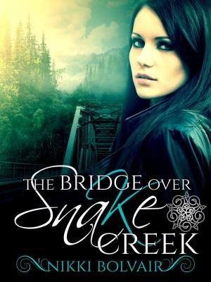 Book cover of The Bridge Over Snake Creek