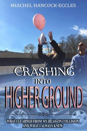 Book cover of Crashing Into Higher Ground