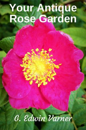 Book cover of Your Antique Rose Garden