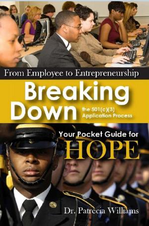 Book cover of From Employee to Entrepreneurship : Breaking Down the 501(c)(3) Application Process