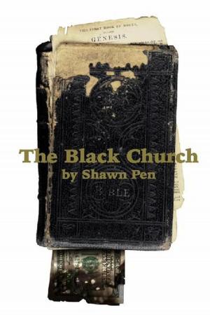 Book cover of The Black Church