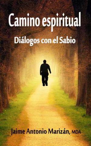 Cover of the book Camino espiritual by Matthew D. Hirschberg