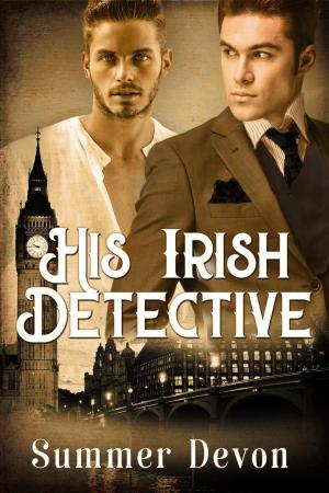 Book cover of His Irish Detective