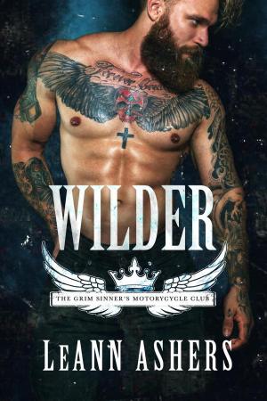 Cover of the book Wilder by A.B. Michaels