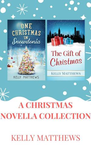 Cover of the book A Christmas Novella Box Set: One Christmas in Snowdonia & The Gift of Christmas by Lisa Silverthorne