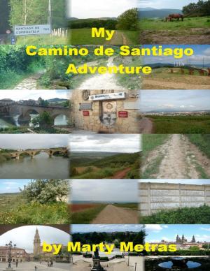 Cover of the book My Camino de Santiago Adventure by Mable Hale