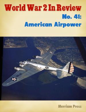Book cover of World War 2 In Review No. 41: American Airpower