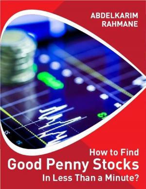 Cover of the book How to Find a Good Penny Stock In Less Than a Minute? by Vanessa Carvo