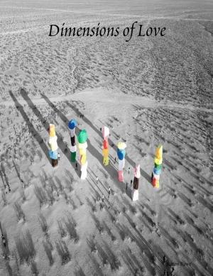 Cover of the book Dimensions of Love by Tina Long