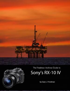 Cover of the book The Friedman Archives Guide to Sony's RX-10 IV by Jonathan Starion