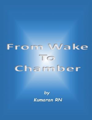 bigCover of the book From Wake to Chamber by 