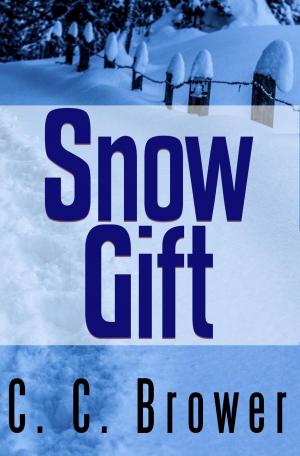 Cover of the book Snow Gift by Thrivelearning Institute Library
