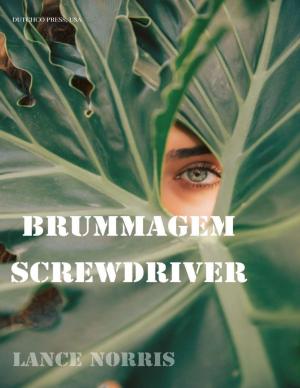 Cover of the book The Brummagem Screwdriver by Ayatullah Ruhullah al-Musawi al-Khomeini