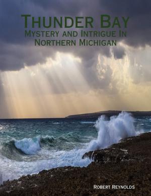 Cover of the book Thunder Bay: Mystery and Intrigue In Northern Michigan by Louise Francis